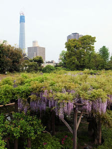 20100506_1shuusei.jpg