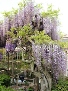 20100506_9shuusei.jpg