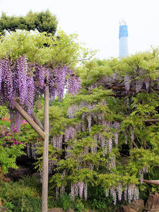 20100506_11shuusei.jpg