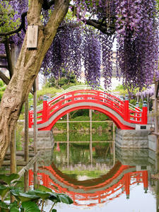 20100506_14shuusei.jpg