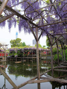 20100506_27shuusei.jpg