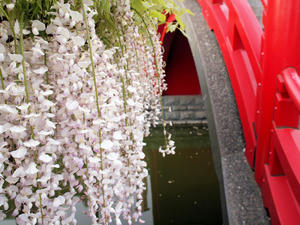 20100506_31shuusei.jpg
