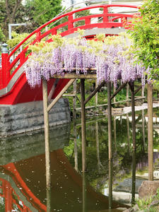 20100506_37shuusei.jpg