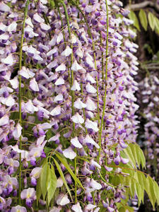 20100506_59shuusei.jpg