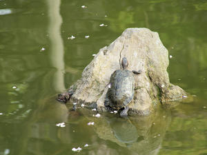 20100506_101shuusei.jpg