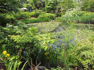 20100516_2shuusei.jpg