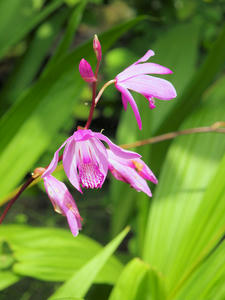 20100516_93shuusei.jpg
