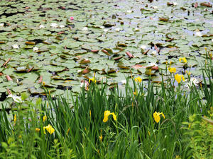 20100516_102shuusei.jpg