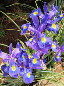 20100516_72shuusei.jpg