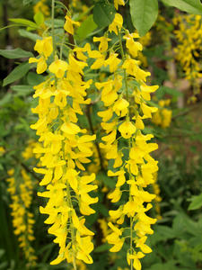 20100516_86shuusei.jpg
