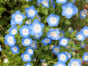 20100516_66shuusei.jpg