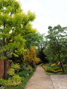 20100516_44shuusei.jpg