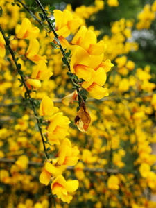 20100516_49shuusei.jpg