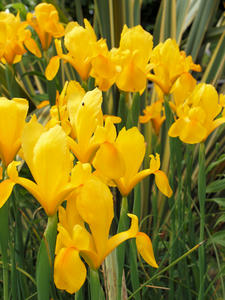 20100516_51shuusei.jpg