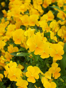 20100516_55shuusei.jpg