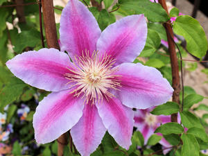 20100516_46shuusei.jpg