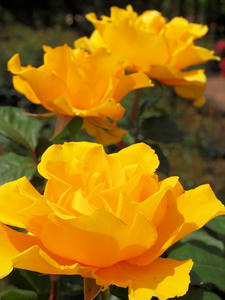 20100516_10shuusei.jpg