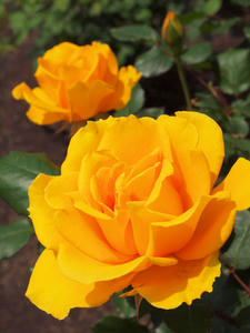 20100516_22shuusei.jpg