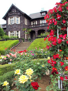 20100519_12shuusei.jpg