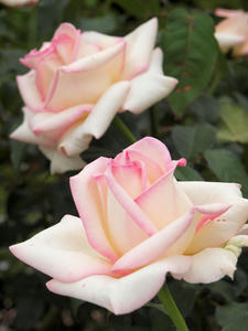 20100519_46shuusei.jpg