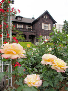 20100519_50shuusei.jpg