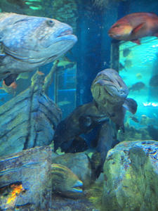 20100519_300shuusei.jpg