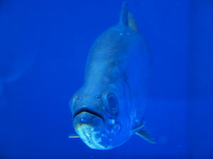 20100519_265shuusei.jpg