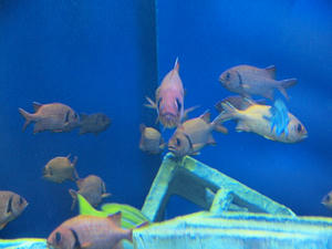 20100519_267shuusei.jpg