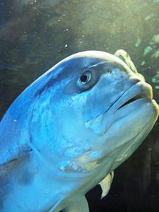 20100519_277shuusei.jpg