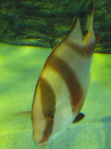 20100519_292shuusei.jpg