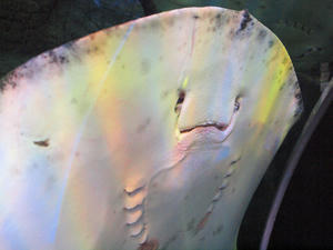 20100519_299shuusei.jpg