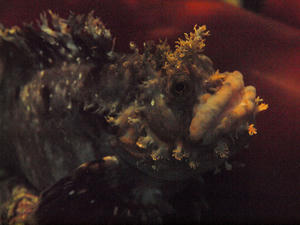 20100519_320shuusei.jpg