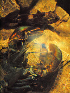 20100519_321shuusei.jpg