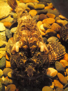 20100519_325shuusei.jpg