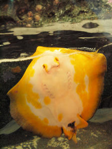 20100519_224shuusei.jpg