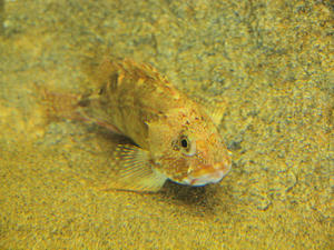 20100519_219shuusei.jpg
