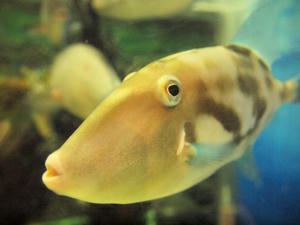 20100519_232shuusei.jpg