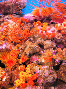 20100519_253shuusei.jpg