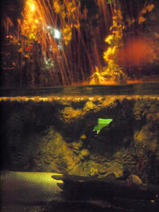 20100519_378shuusei.jpg