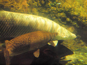 20100519_384shuusei.jpg