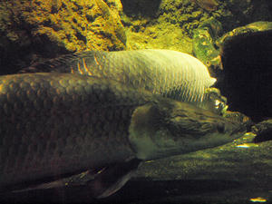 20100519_376shuusei.jpg