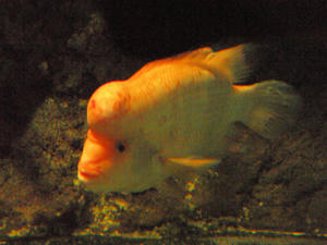 20100519_377shuusei.jpg
