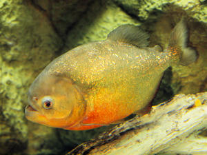20100519_396shuusei.jpg