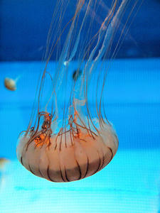 20100519_328shuusei.jpg