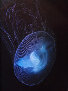 20100519_332shuusei.jpg