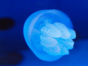 20100519_335shuusei.jpg