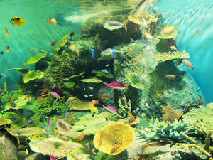 20100519_370shuusei.jpg