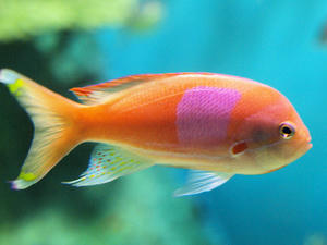 20100519_367shuusei.jpg