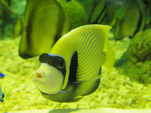 20100519_363shuusei.jpg