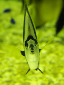 20100519_358shuusei.jpg